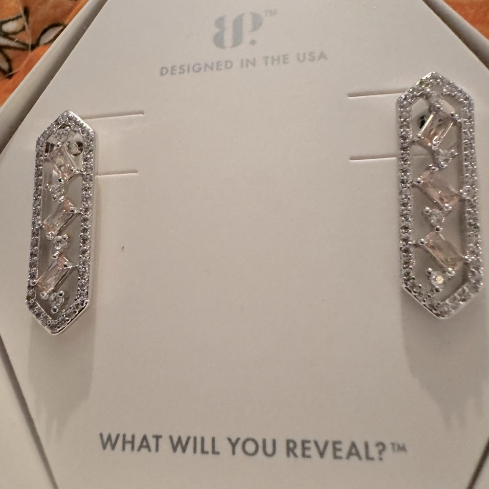 Maze of Sparkle Earrings RBP5763